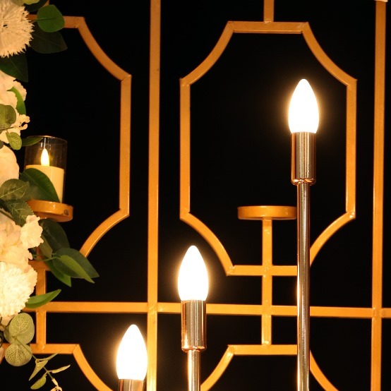 Indian wedding reception in Melbourne